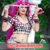 About Chhot Bhawani Barwada Me Song